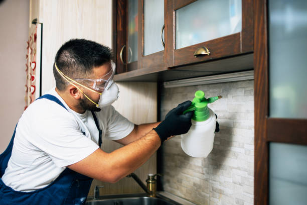 Best Pest Prevention Services  in Kellogg, ID