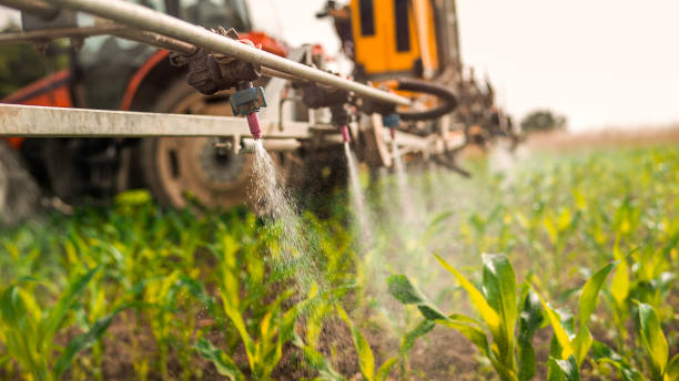 Trusted Kellogg, ID Pest Control Experts